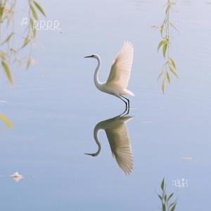 鸿影