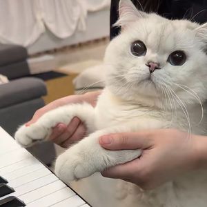 哗啦哗啦哗啦啦