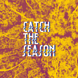 Catch The Season