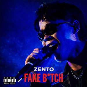 Fake Bitch