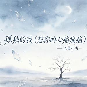 孤独的我(想你的心痛痛痛)