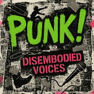 We Invented Punk (You're Welcome)
