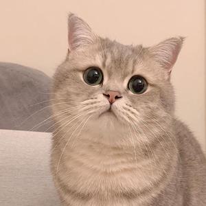 我很快乐-陈丹媛媛（cover 周兴哲）