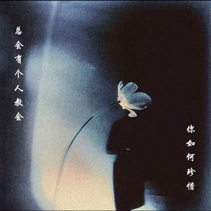 总会有个人教会你如何珍惜