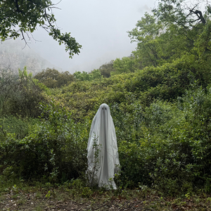 Que no plogui tan fort