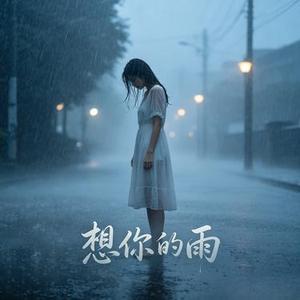 想你的雨 (大头针Melo Remix)