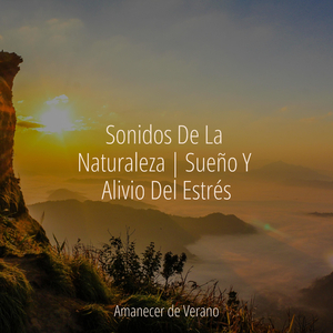 Deriva de la Nebulosa Orquídea