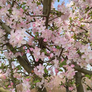 你像季风经过我的旷野