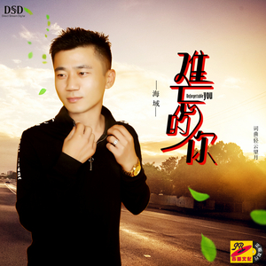 难忘的你 (伴奏)