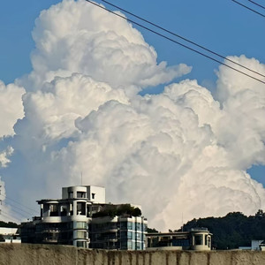 如愿（ Live 电音版 ）