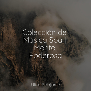 En Sintonía Contigo