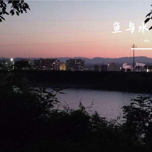 鱼与水