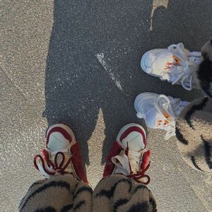 陷入爱的单程票