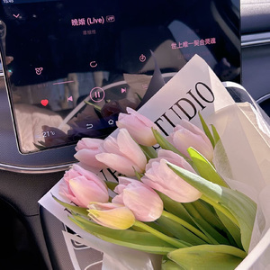 三里江湖再无你