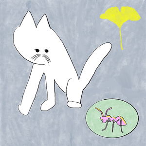 가을은 흐릿한 오후