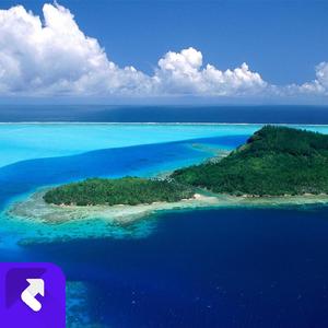 梦境之舞 (现场)