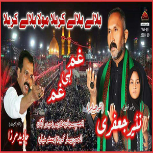 Aa Ke Kehte Hai Sitam Gar Zainab e Dilgeer