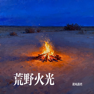 荒野火光