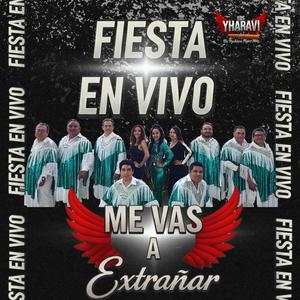 Me vas a extrañar