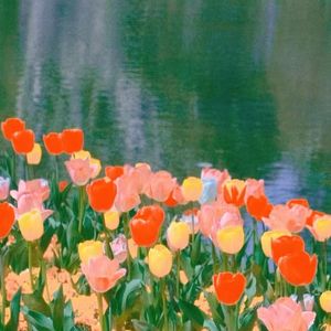 emmm（cover 银临）.wav