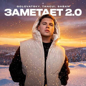 Заметает 2.0