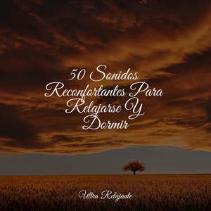 Brisa A Través De Las Edades