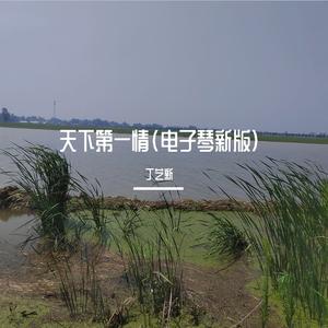 人间第一情(电子琴新版)