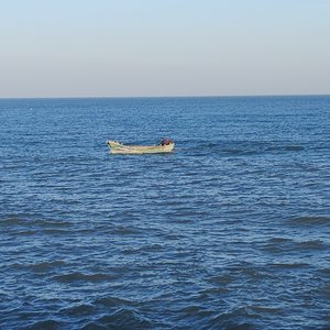 bipolar disorder（BP)