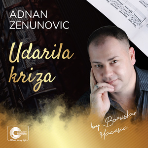 Udarila kriza (Live)