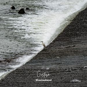 苏州河（Wastedland remix）