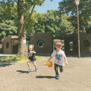 All pho you (feat. にわとりトラック & まいち)