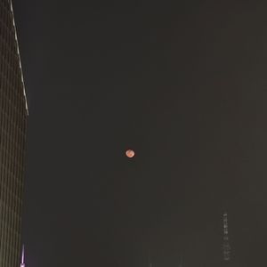 行李（cover 丁世光）