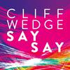 Cliff Wedge - Say Say