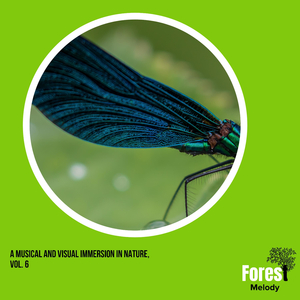 Uplifting Song of the Owl