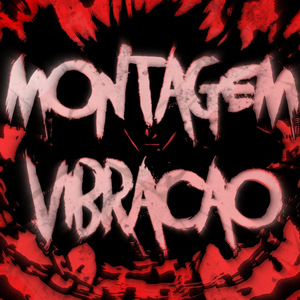 MONTAGEM VIBRACAO