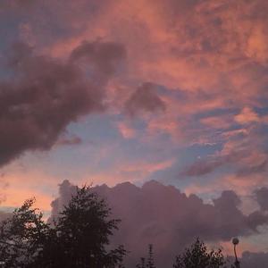 我希望你在此停泊