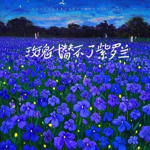 玫瑰代替不了紫罗兰