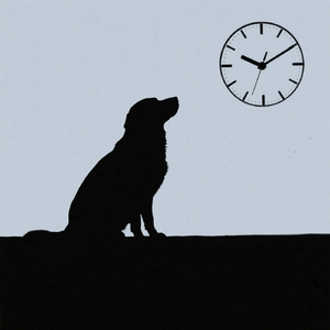 ただいままでの距離