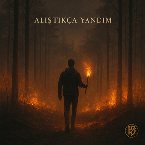 Alıştıkça Yandım