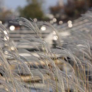 一点一点勇敢地往前走