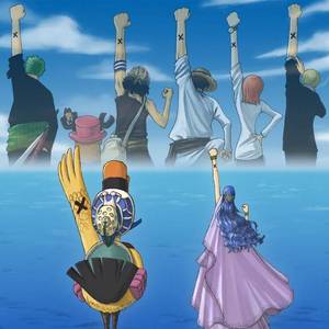 【手风琴】海贼王Dear friends (cover TRIPLANE )（翻自 TRIPLANE）