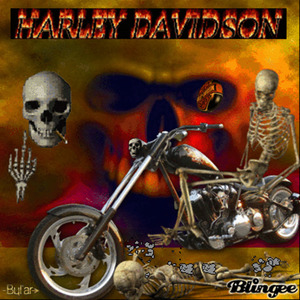 Harley!
