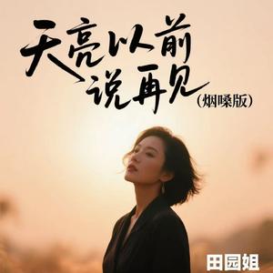 天亮以前说再见 (烟嗓版)