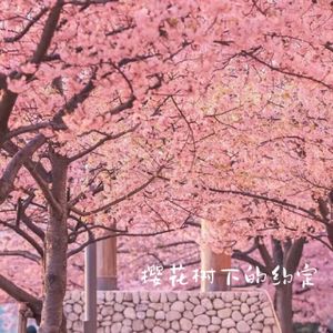 樱花树下的约定