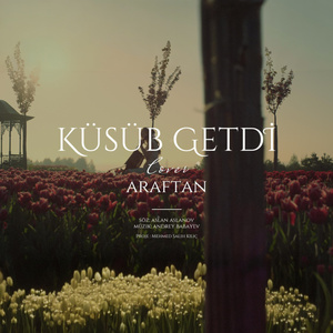 Küsüb getdi