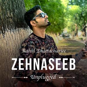 Zehnaseeb
