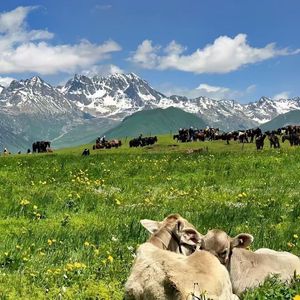 寰厜鏆栨ⅵ娌