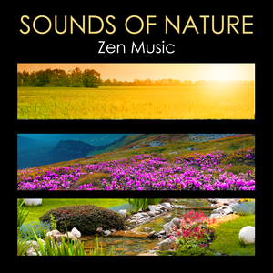 Sounds of Nature (Rain White Noise)
