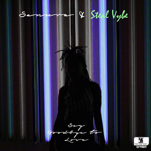 Say Goodbye To Love (Chris-Forman’S Boogie Paradise Mix)
