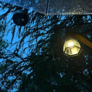 消散对白 丁禹兮